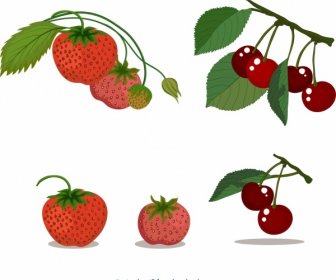 Ripe Fruits Icons Strawberry Cherry Design