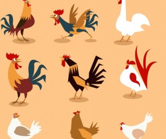 Rooster Icons Collection Various Multicolored Types Cartoon Design