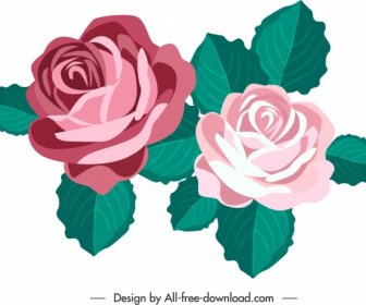 Rose Flower Icon Colored Classical Sketch