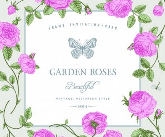 Rose With Butterfly Vintage Cards Vector Graphic