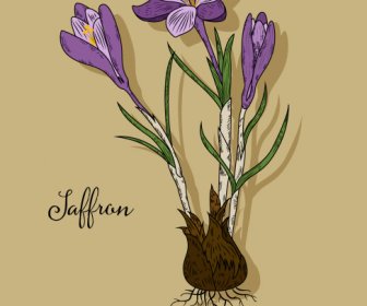 Fleur De Safran Icône Colorée Design Rétro