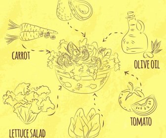 Insalata Cuisine Infographic Ingrediente Icone Handdrawn Sketch