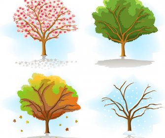 Pohon Yang Sama Dalam Musim-musim Yang Berbeda