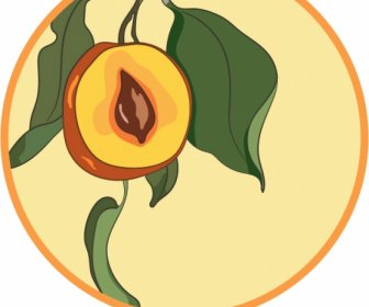 Sapote Fruit Label Template Classic Handdrawn Sketch