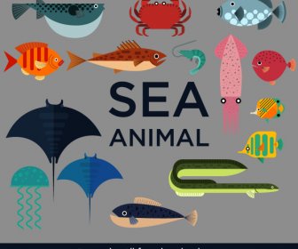 Sea Animals Icons Colored Flat Sketch