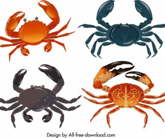 Sea Crab Icons Templates Colorful Design