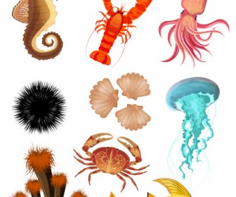 Sea Creatures Icons Colorful Modern Sketch