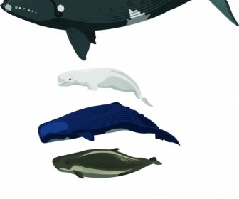 Sea Creatures Icons Swimming Whale Dolphin Design