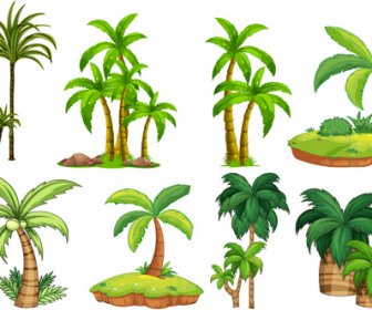 Sea Islands Palm Tree Vector
