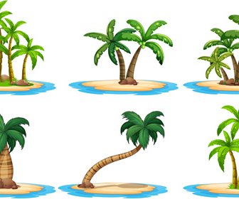 Sea Islands Palm Tree Vector