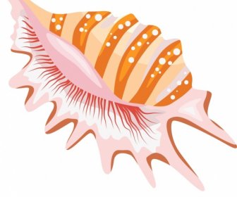 Sea Shell Icon Bright Colored Sketch
