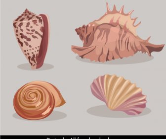 морская оболочка иконы цветной классический дизайн