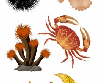 Diseño Moderno Coloridos Iconos De Especies Mar