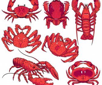 Ikon Spesies Laut Desain Klasik Sketsa Handdrawn Merah