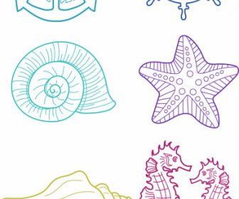 Sea Symbols Icons Handdrawn Anchor Wheel Species Sketch