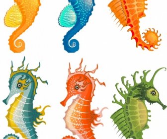 Seahorse Icons Collection Colorful Cartoon Sketch