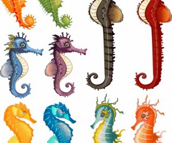Seahorse Species Icons Collection Multicolored Cartoon Design