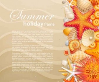 Seashells Starfish With Summer Backgrounds Vector