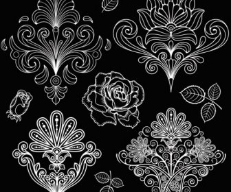 Set Of Black And White Paisley Pattern Vector Graphics