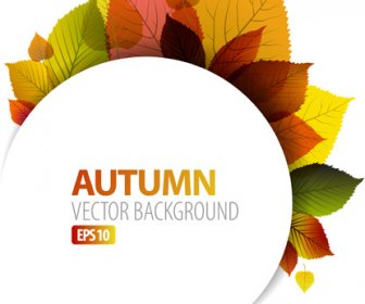 Set Of Charm Autumn Backgrounds Vector