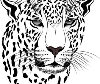 Thiết Lập Của Cheetah Vector Hình ảnh Nghệ Thuật