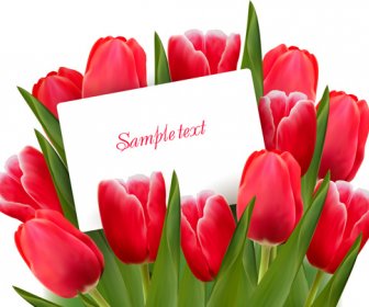 Set Warna Bunga Tulip Kartu Desain Vektor