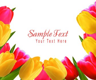 Set Warna Bunga Tulip Kartu Desain Vektor