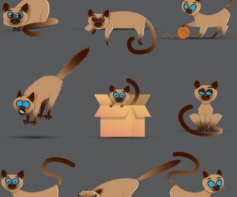 Набор милых сиамских кошек в разных позах