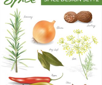 Set Of Different Spice Design Vector