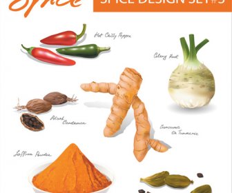 Conjunto De Diferentes Spice Design Vetor 2