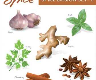 Set Of Different Spice Design Vector 3