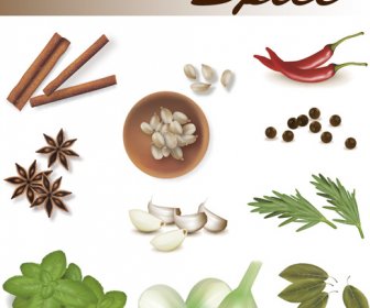 Set Of Different Spice Design Vector  No.339693