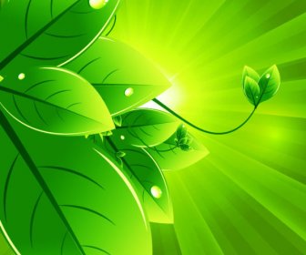 Set Of Eco Friendly With Green Leaves Background Vector