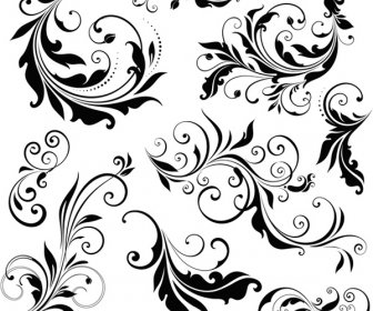 Set Of Floral Vector