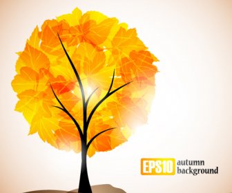 Set Of Leaf Fall Vector Backgrounds Vector