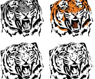 Set Harimau Vektor Gambar Seni