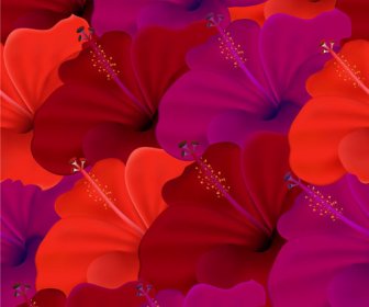 花の要素の背景のベクトルのセット