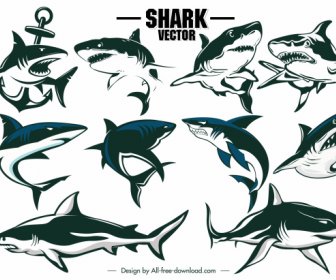 Shark Icons Dynamic Handdrawn Outline