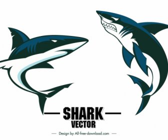 Iconos De Tiburones Boceto Dinámico De Natación