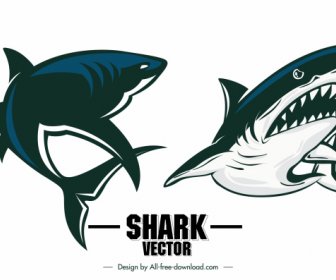 Shark Icons Frightening Sketch Dynamic Design
