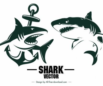 shark tattoo icons dynamic sketch