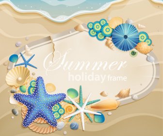 Conchas Y Starfishe Vacaciones Elementos Vector Frame