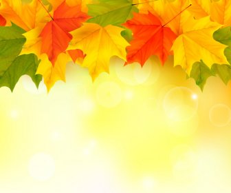 Shiny Autumn Vector Background Art