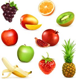 Glänzende Frische Früchte-Vektor-set
