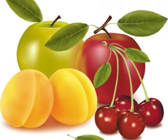 Shiny Fruits Creative Vector Graphics