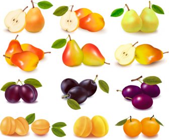 Shiny Fruits Design Vector Background