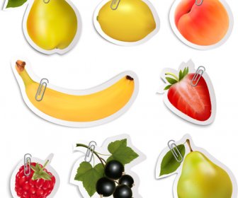 Glänzende Früchte Aufkleber Vektor Satzgrafik