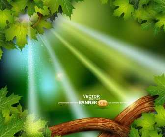 блестящие зеленые листья фона дизайн вектор