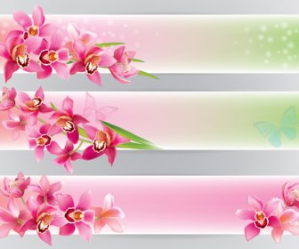 Bandeiras De Orquídeas Brilhantes Vector Design