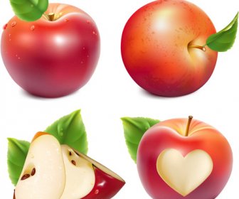 shiny red apples vector design